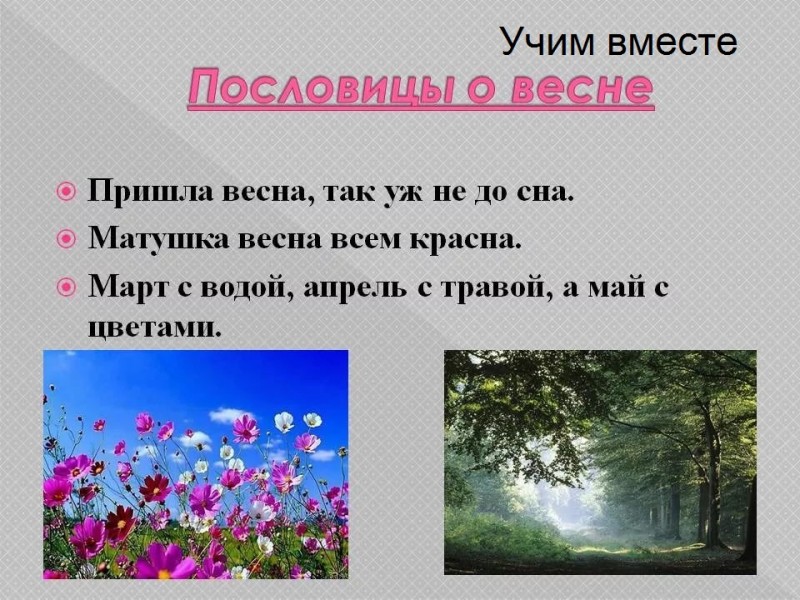 Пословицы о весне с картинками