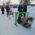 IMG_20210120_101728.jpg